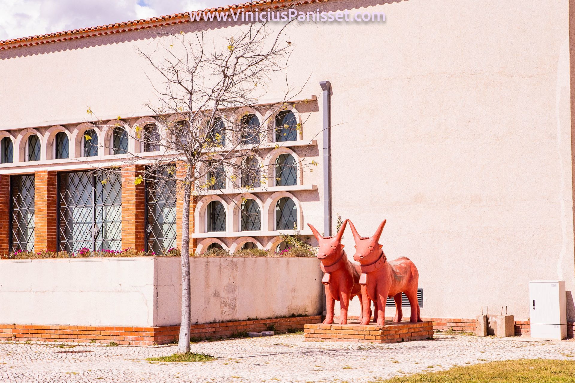 Foto Lisboa Quarentena - Imagem 49