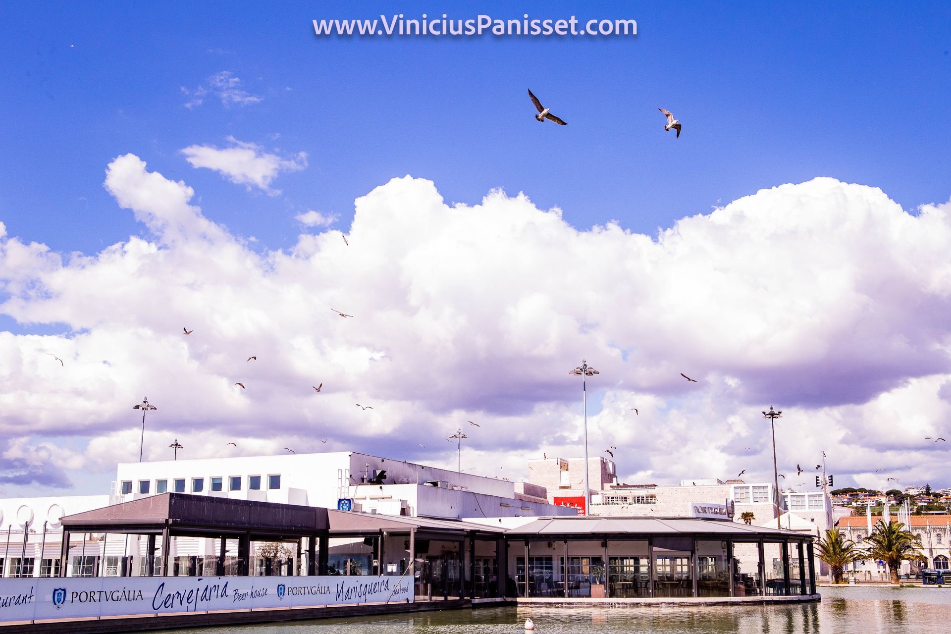 Foto Lisboa Quarentena - Imagem 45