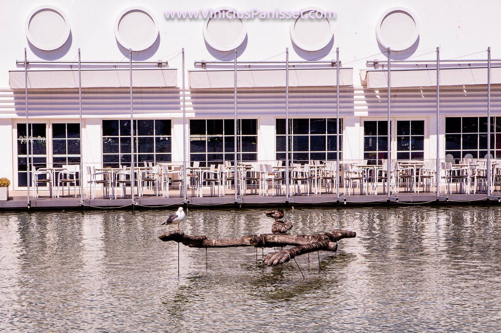 Foto Lisboa Quarentena - Imagem 46