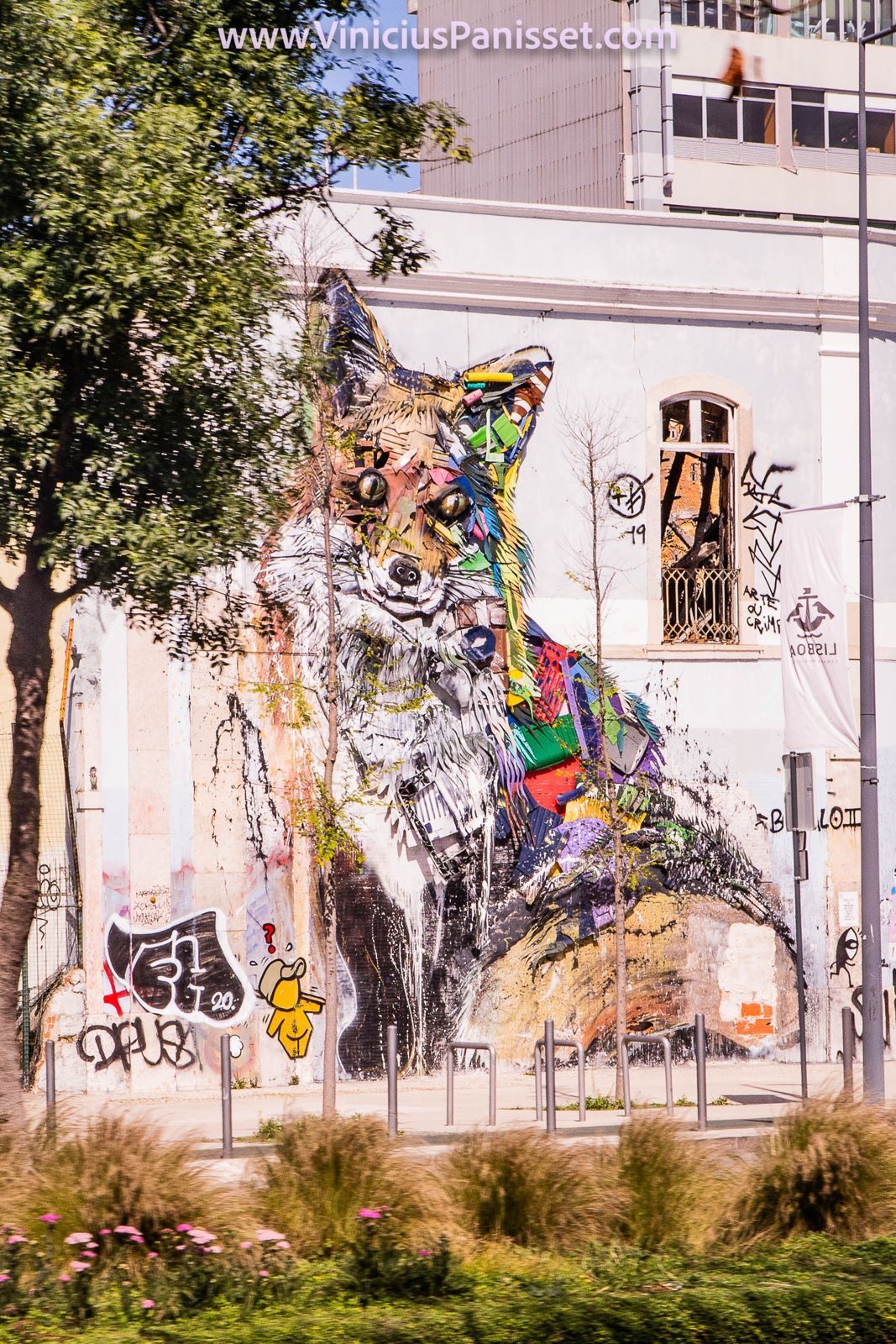 Foto Lisboa Quarentena - Imagem 69